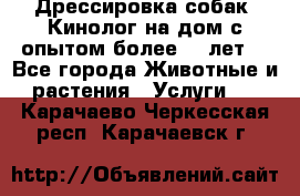 Дрессировка собак (Кинолог на дом с опытом более 10 лет) - Все города Животные и растения » Услуги   . Карачаево-Черкесская респ.,Карачаевск г.